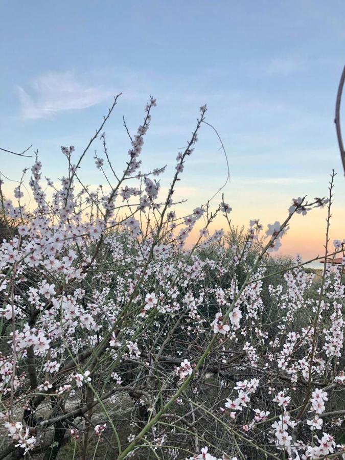무쟈 Piccola California B&B 외부 사진
